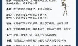 新手入门教程术语大全