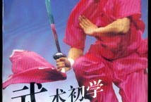 武术新手入门教程视频