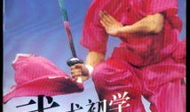 武术新手入门教程视频