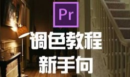 新手m网调入门教程
