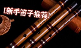 枉凝眉笛子入门教程