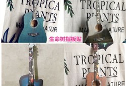 女孩学乐器入门教程视频