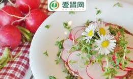 萝卜拼盘入门教程图解大全