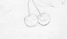 白描教学入门教程视频全集