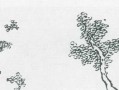 丁字画入门教程图片大全