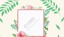 背景板插花入门教程视频