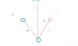 二维数学入门教程