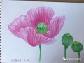 水粉花绘画基础入门教程