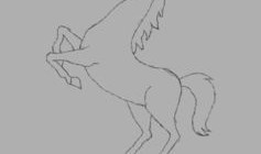 素描小马入门教程简单图片