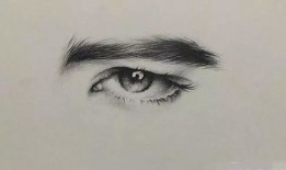海参素描入门教程视频下载