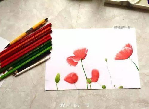 彩铅手绘牛奶入门教程