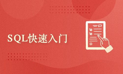 数据库大师入门教程