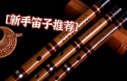 枉凝眉笛子入门教程