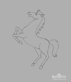 素描小马入门教程简单图片