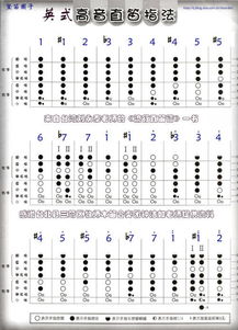 爱尔兰竖笛d调入门教程
