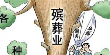 丧葬服务入门教程视频大全