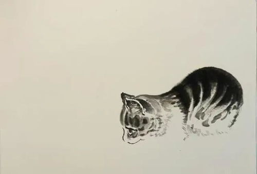 国画入门教程猫咪图片简单 国画入门教程猫咪图片简单