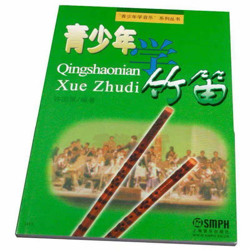 怎么简单学乐器入门教程