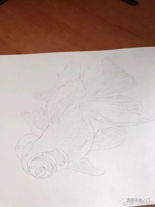 绘画动物画入门教程图片