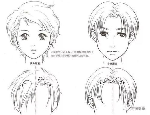 手机画画漫画入门教程视频