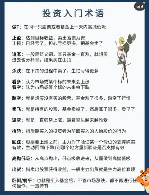 新手入门教程术语大全