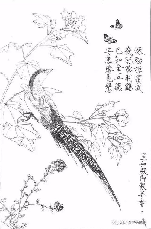 用国画画鸟入门教程